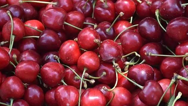 Sultandağı kirazı, rekoltesiyle ve fiyatıyla üreticisinin yüzünü güldürdü