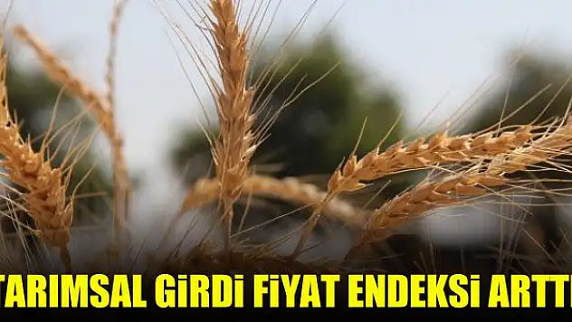 Tarımsal girdi fiyat endeksi arttı