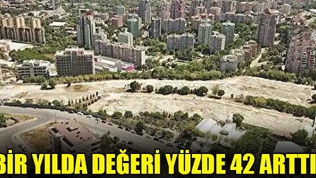 Bir yılda değeri yüzde 42 arttı!