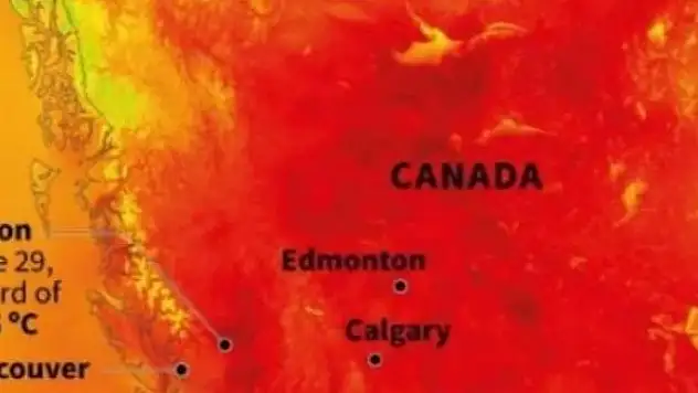 Aşırı sıcaklardan yüzlerce kişi hayatını kaybetti