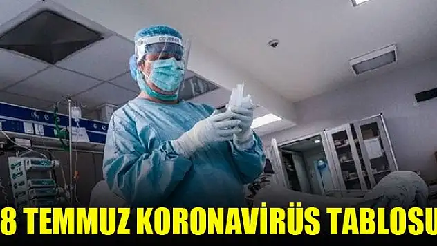 18 Temmuz koronavirüs tablosu!