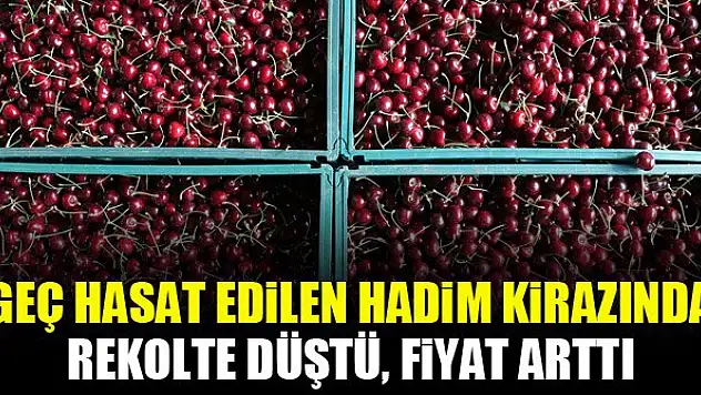 Geç hasat edilen Hadim kirazında rekolte düştü, fiyat arttı