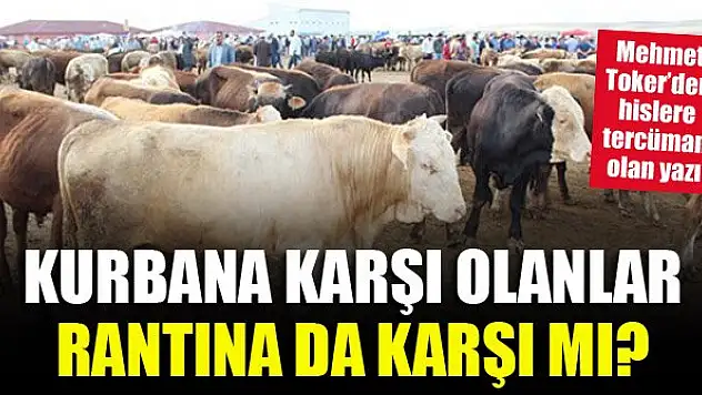Kurbana Karşı Olanlar, Rantına da Karşı mı? Mehmet Toker yazdı