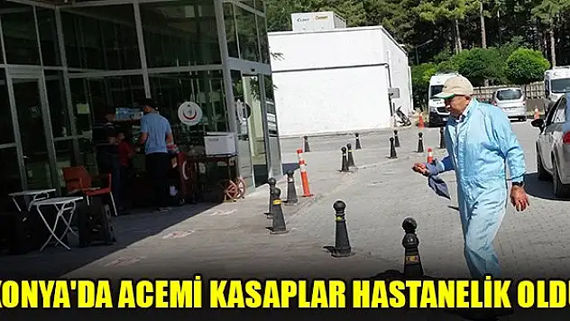 Konya'da acemi kasaplar hastanelik oldu