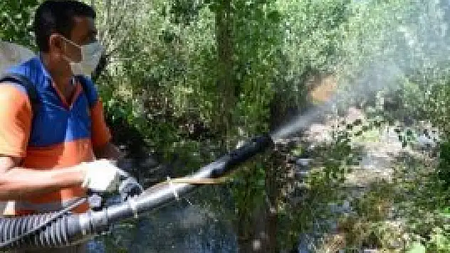 Kulu'da haşereyle mücadele çalışmaları