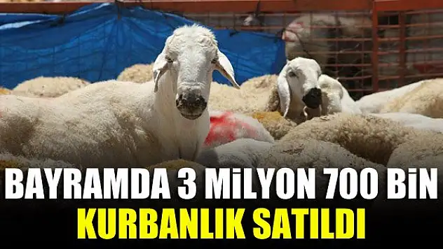 Bayramda 3 milyon 700 bin kurbanlık satıldı