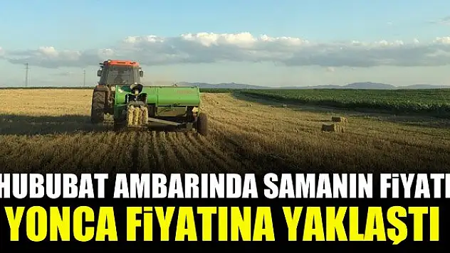 Hububat ambarında samanın fiyatı yonca fiyatına yaklaştı
