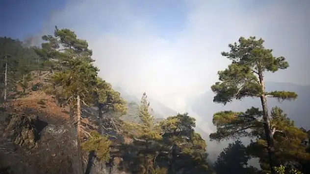 Kayseri Yahyalı yangını kontrol altında