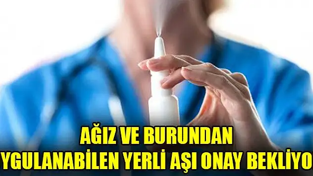 Ağız ve burundan uygulanabilen yerli aşı onay bekliyor