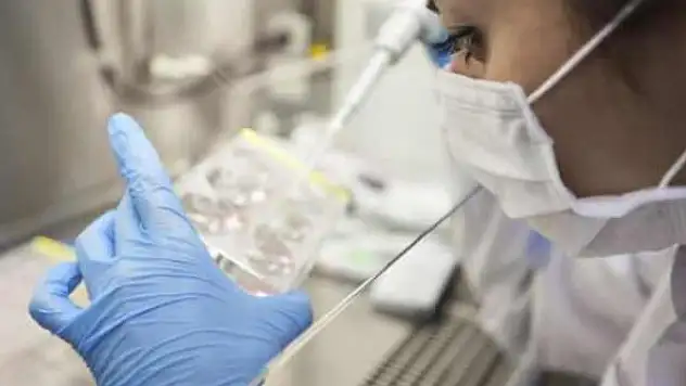 DSÖ'den yeni 'Delta varyantı' uyarısı