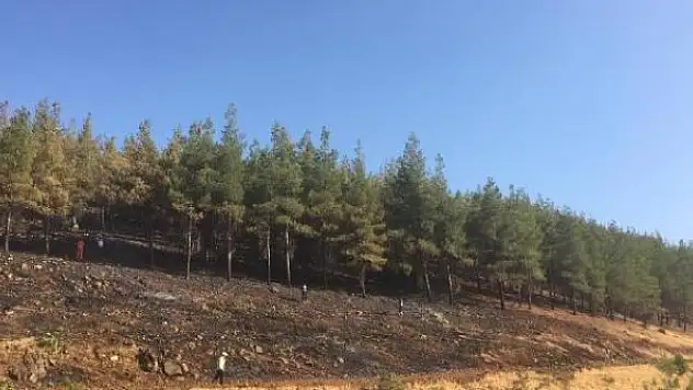 Kahramanmaraş'ta çıkan örtü yangını söndürüldü