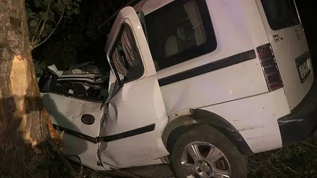 Konya'da ağaca çarpan kamyonetin sürücüsü hayatını kaybetti