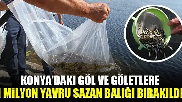 Konya'daki göl ve göletlere 1 milyon yavru sazan balığı bırakıldı