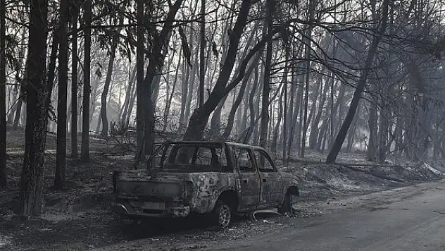 Yerküre yoğunluğu artan orman yangınlarının etkisi altında