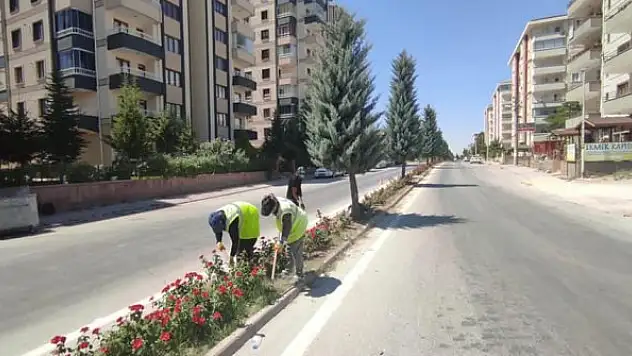 Trafik Eğitim Parkurunun  çevresi ağaçlandırılıyor