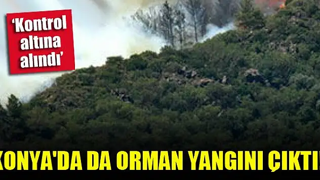 Konya'da da orman yangını çıktı!