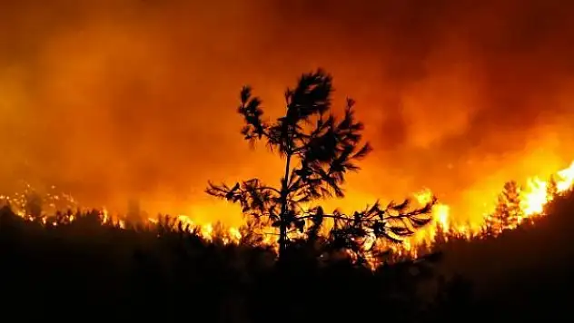Uluslararası camiadan Türkiye'deki yangınlara büyük destek