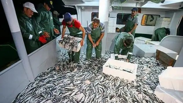 Aşı olmayan balıkçılar denize açılamayacak