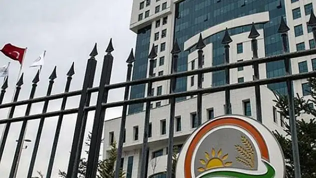 Bakanlıktan yangınla ilgili yanıltıcı paylaşım yapan kişi hakkında suç duyurusu