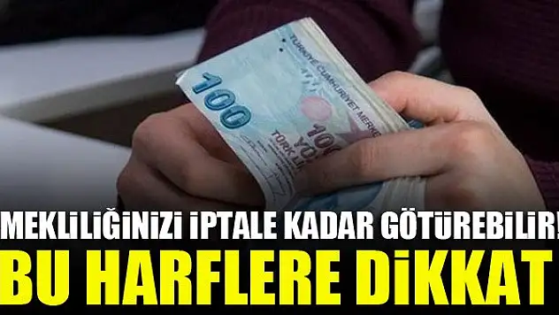 Emekliliğinizi iptale kadar götürebilir! Bu harflere dikkat