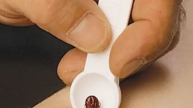 Sarayönü'nde muhtar ve imamlara kene eğitimi