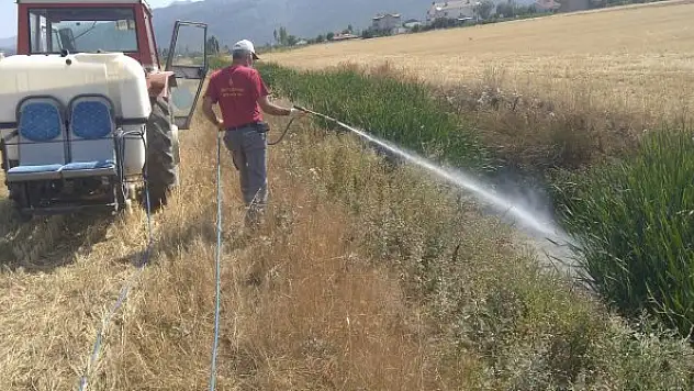 Yaz aylarında uçkunla  mücadele devam ediyor