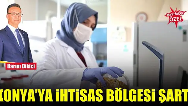 Konya'ya ihtisas bölgesi şart!
