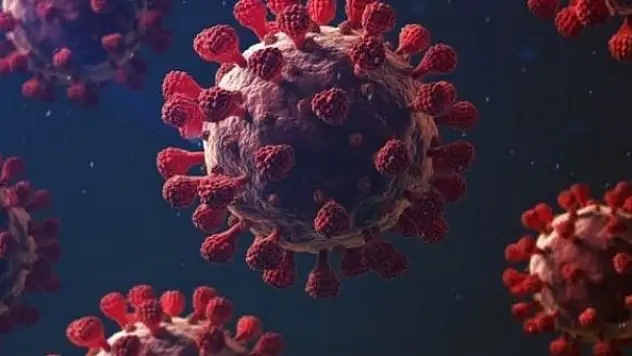 Salgında yeni endişe B.1.621