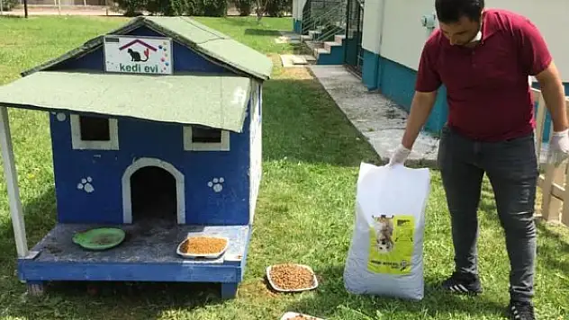 Sokak hayvanları  Ereğli'de unutulmuyor