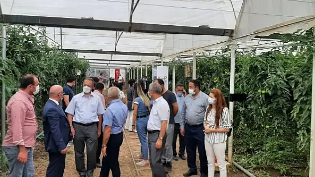 Bitki seralarında  denetim yapıldı