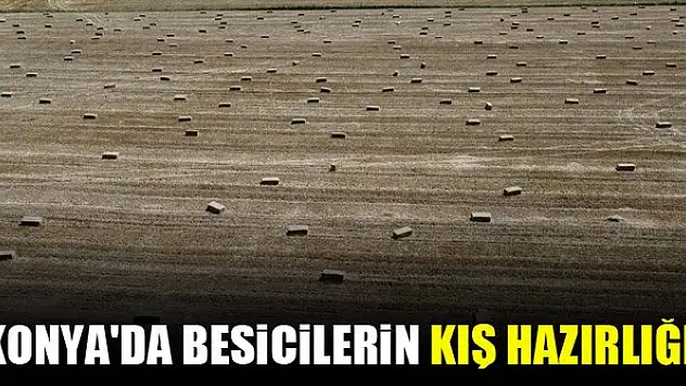 Konya'da besicilerin kış hazırlığı başladı
