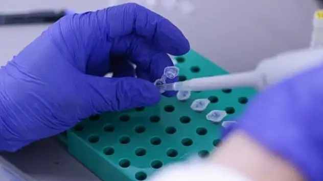 Yerli VLP aşısı Delta varyantına karşı test edilecek