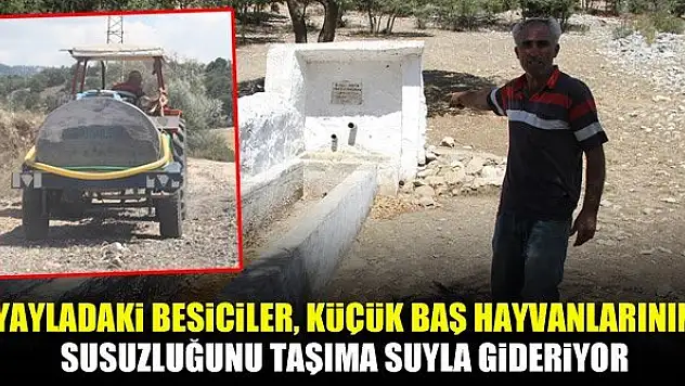 Yayladaki besiciler, küçük baş hayvanlarının susuzluğunu taşıma suyla gideriyor