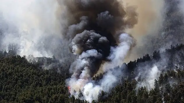 Atina yakınlarında 80-90 bin dönüm arazi kül oldu