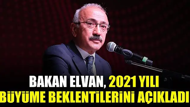 Bakan Elvan, 2021 yılı büyüme beklentilerini açıkladı