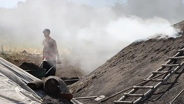 Mangal kömürü için bir ömrü çadırlarda geçiriyorlar