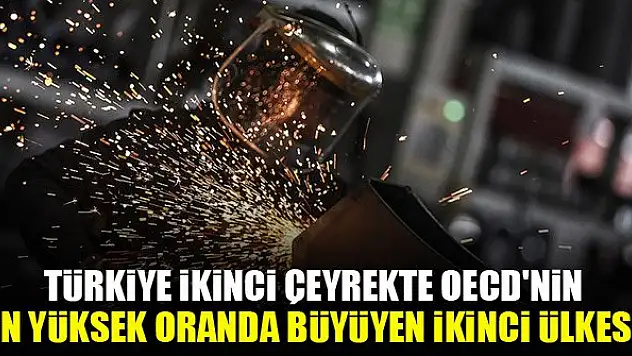 Türkiye ikinci çeyrekte OECD'nin en yüksek oranda büyüyen ikinci ülkesi