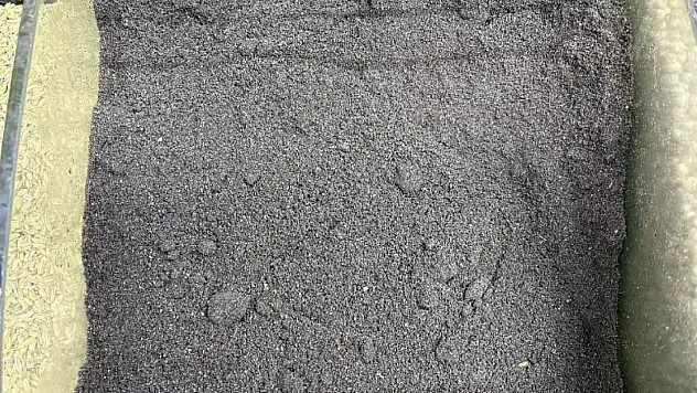 Aktarların dilindeki şifa! Ölüm dışında her derde deva