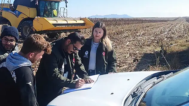 Karapınar'da çerezlik ayçiçeği hasadında biçerdöver denetimi