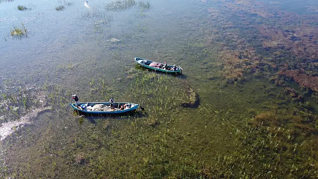 Beyşehir'de balık tezgahlarına sıkı denetim Sürdürülebilir avcılık için ekipler sahada