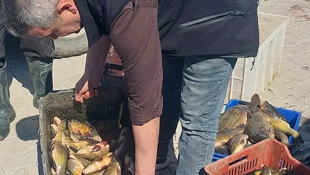 Beyşehir Gölü'nde av sezonunun başlamasıyla birlikte denetimler sıklaştırıldı