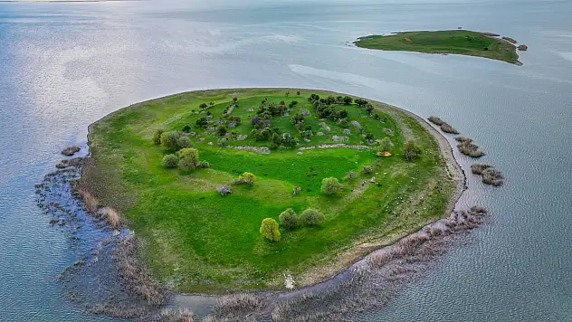 Beyşehir Gölü'nde 'çobansız' hayvancılık