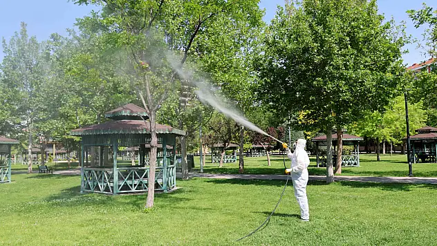 Bitki hastalıklarına karşı zirai önlem: Karatay ekipleri sahada nöbette