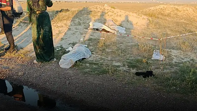 Bu acının tarifi yok: Yaşları 4 ile 12 arasındaki 3 kardeş can verdi