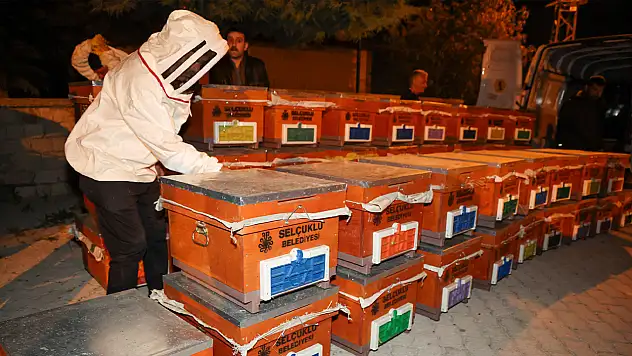 Dünya Arı Günü'nde Konya'da büyük sürpriz: Başvuran o desteği kaptı