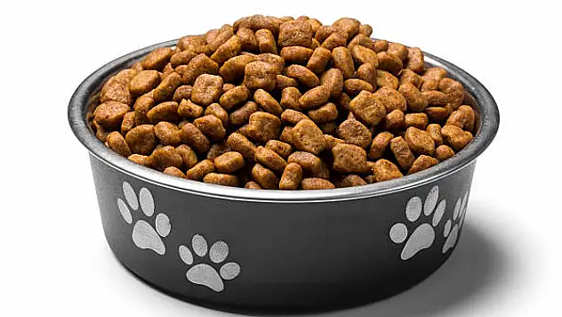 Hipoalerjenik Köpek Maması: Hassas Köpeklerde Neyi Değiştirir?