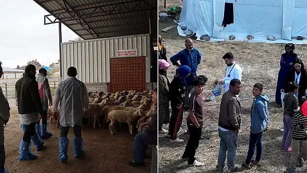 Karapınar'da kesimhanelere hijyen neşteri, Derebucak'ta tarım işçilerine sağlık taraması