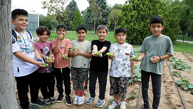 Karatay'da çocuklara doğa ile iç içe yaz okulu: Kayıtlar devam ediyor