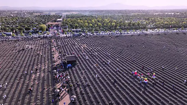 Karatay Lavanta Günleri başlıyor: Konserlerden sinemaya dopdolu program