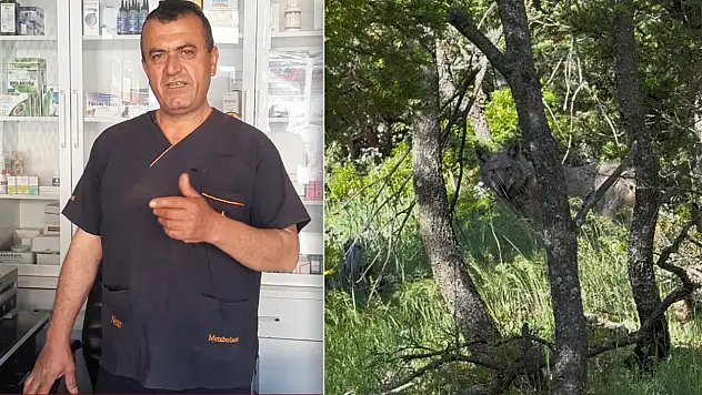 Konya'da ilginç diyalog: Veteriner hekim yolda gördüğü kurdu yanına çağırdı